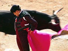 Bull Fighter